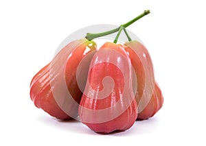 Rose apples or chomphu isolated on white background. Rose apples isolated