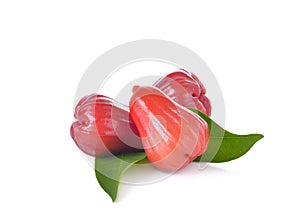 Rose apples or chomphu on white background.