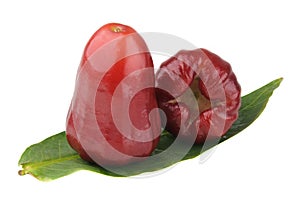 Rose apples on green leave