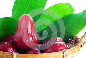 Rose apples isolated on white background.