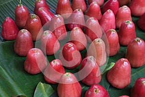 Rose apples or wax apples