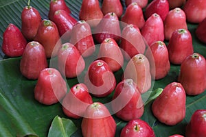 Rose apples or wax apples photo