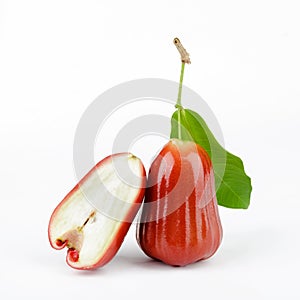 Rose apples on white background.