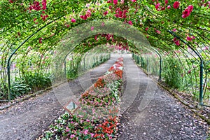 Rose Arbor Tunnel 2