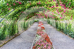 Rose Arbor Landscape 3