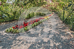 Rose Arbor At Point Defiance 4