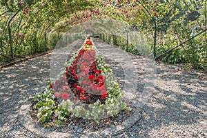 Rose Arbor At Point Defiance 6