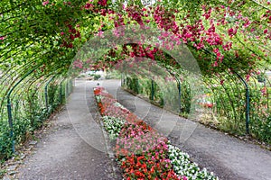 Rose Arbor Tunnel 9