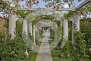 Rose Arbour photo