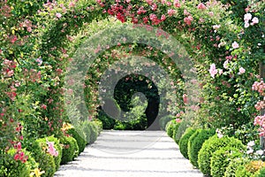 Rose Arch In the Garden