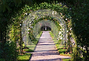 Rose Arch
