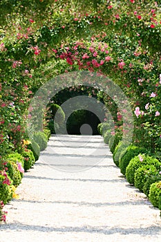 Rose Arch In the Garden