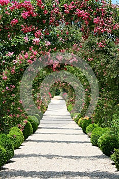 Rose Arch In the Garden photo