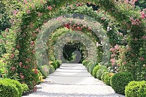 Rose Arch In the Garden photo