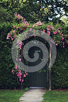 Rose Arch photo