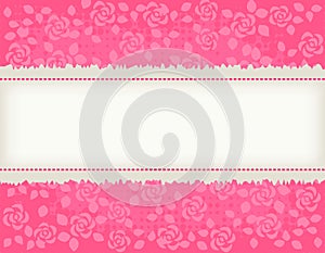 Rose background with frame