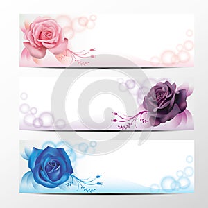 Rose banner collection 2