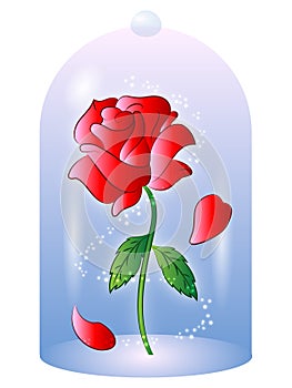 Rose from Beauty and the Beast Vector Illustration
