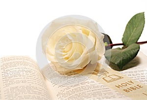 Rose And Bible