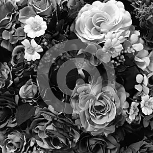 Rose black and white color concept