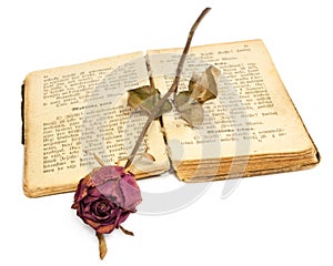 Rose and book