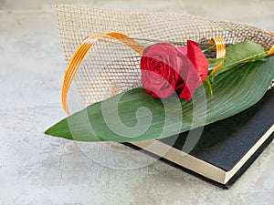 Rose and Book, traditional gift for Sant Jordi, the Saint Georges Day. It is Catalunya\'s version of Valentine\'s day