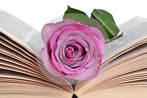 Rose Bookmark