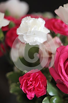 Rose bouquet 1724