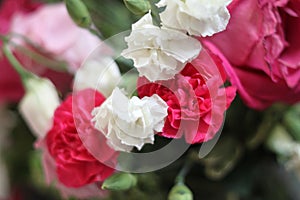 Rose bouquet 1739
