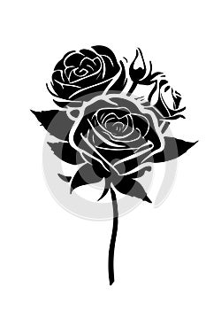 Rose branch with three flowers and a bud. Also good for tattoo. Editable vector monochrome image with high details isolated on
