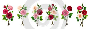 Rose branches. Set of vector design elements with red, pink, and white roses