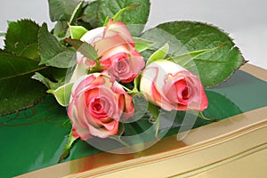 Rose-buds and chocolates