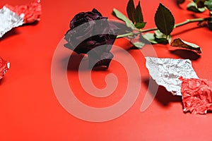 Rose and candy wrappers on red background