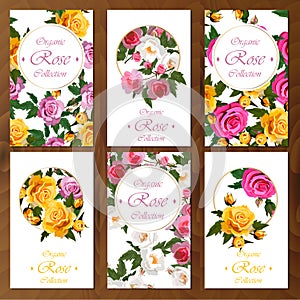 Rose card on wooden background