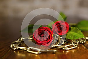 Rose and chains background