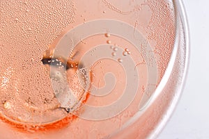 Rose Champagne Glass With Bubbles