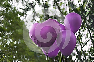 Rose colored balloons - birthday party and revelation tea