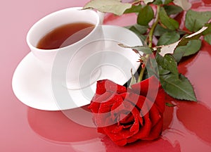 Rose with cup of tea.