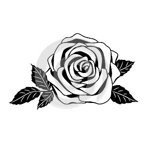 Rose, dark silhouette on white