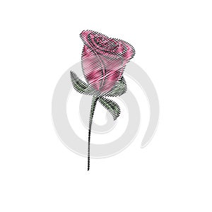 Rose. Doodled design. Love. vector