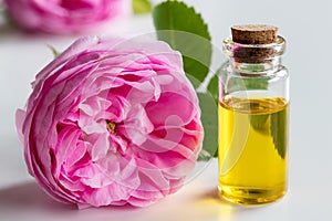 Rose essential oil: a bottle of oil with a rose flower