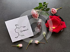 Rose essential oil with red and pink rose flowers. Chemical formula of geraniol, the major component of rose essential oil