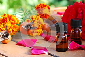 Rose and essential oils