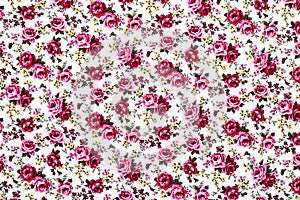 Rose Fabric , Rose Fabric background, Fragment of colorful retro