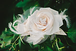 Rose Bridal Hairpiece photo