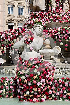 Rose Festival, Lyon, France