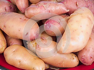 Rose fingerling potatoes