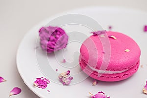 Rose flavour macaroon on a plate on pastel background