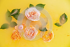 Rose flower buds in yellow water in spa salon