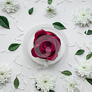 Rose flower in coffe cup on white background.Flat lay.Valentine